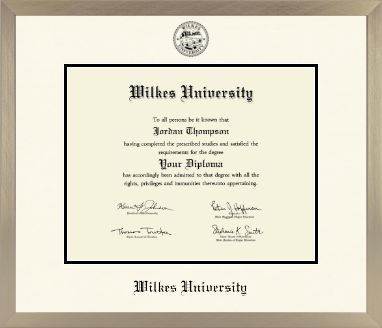 Wilkes University diploma frame - Icon in Light Champagne