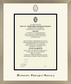Westminster Theological Seminary diploma frame - Icon in Light Champagne