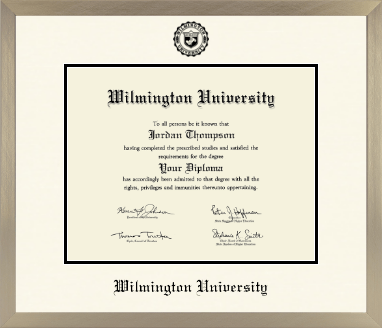 Wilmington University diploma frame - Icon in Light Champagne