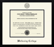 Wellesley College diploma frame - Icon in Gotham