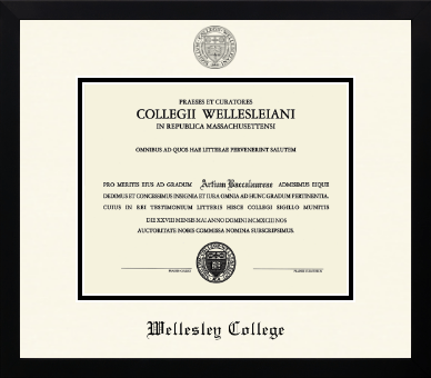 Wellesley College diploma frame - Icon in Gotham