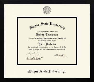 Wayne State University diploma frame - Icon in Gotham