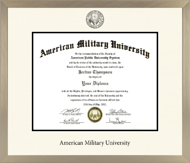 American Military University diploma frame - Icon in Light Champagne