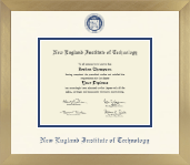 New England Institute of Technology diploma frame - Icon in Chardonnay