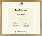 Post University diploma frame - Icon in Chardonnay