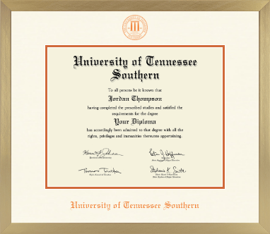 University of Tennessee Southern diploma frame - Icon in Chardonnay