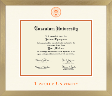 Tusculum University diploma frame - Icon in Chardonnay