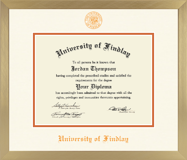 The University of Findlay diploma frame - Icon in Chardonnay
