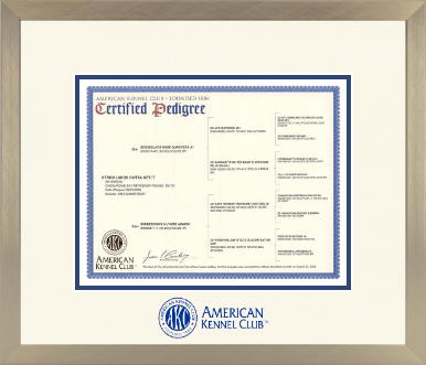 American Kennel Club certificate frame - Icon in Light Champagne
