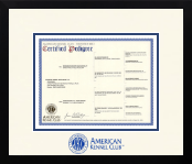 American Kennel Club diploma frame - Icon in Gotham