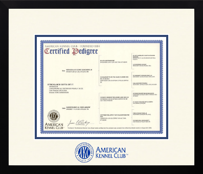 American Kennel Club diploma frame - Icon in Gotham