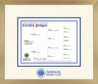 American Kennel Club diploma frame - Icon in Chardonnay