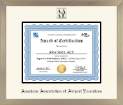 American Association of Airport Executives diploma frame - Icon in Light Champagne