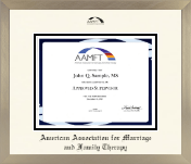 American Association for Marriage and Family Therapy diploma frame - Icon in Light Champagne