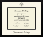 Brazosport College diploma frame - Icon in Gotham