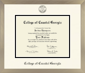 College of Coastal Georgia diploma frame - Icon in Light Champagne
