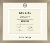 Collin College diploma frame - Icon in Light Champagne