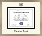 CPA Directory Inc. diploma frame - Icon in Light Champagne