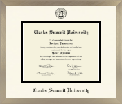 Clarks Summit University diploma frame - Icon in Light Champagne