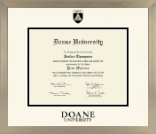Doane University diploma frame - Icon in Light Champagne
