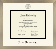 Drew University diploma frame - Icon in Light Champagne
