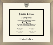 Elmira College diploma frame - Icon in Light Champagne