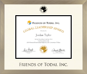 Friends of Todai, Inc. diploma frame - Icon in Light Champagne