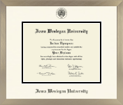 Iowa Wesleyan University diploma frame - Icon in Light Champagne