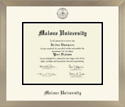 Malone University diploma frame - Icon in Light Champagne