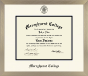 Mercyhurst College Erie diploma frame - Icon in Light Champagne