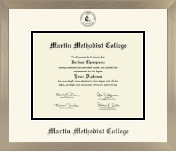 Martin Methodist College diploma frame - Icon in Light Champagne