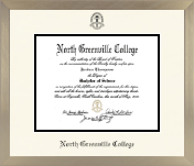 North Greenville College diploma frame - Icon in Light Champagne