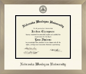 Nebraska Wesleyan University diploma frame - Icon in Light Champagne