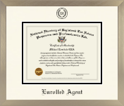 PTIN Directory Inc. diploma frame - Icon in Light Champagne