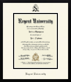 Regent University diploma frame - Icon in Gotham