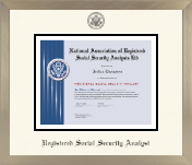 National Association of Registered Social Security Analysts diploma frame - Icon in Light Champagne