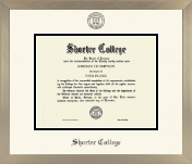 Shorter College diploma frame - Icon in Light Champagne