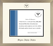 Sigma Alpha Alpha diploma frame - Icon in Light Champagne