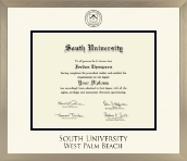 South University, West Palm Beach diploma frame - Icon in Light Champagne