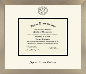 Spoon River College diploma frame - Icon in Light Champagne