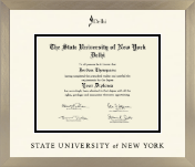 State University of New York Delhi diploma frame - Icon in Light Champagne