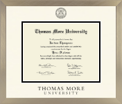 Thomas More diploma frame - Icon in Light Champagne