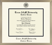 Texas A&M University Central Texas diploma frame - Icon in Light Champagne