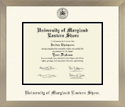 University of Maryland Eastern Shore diploma frame - Icon in Light Champagne