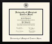 University of Maryland Eastern Shore diploma frame - Icon in Gotham