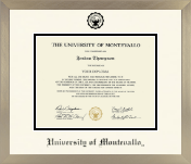 University of Montevallo diploma frame - Icon in Light Champagne