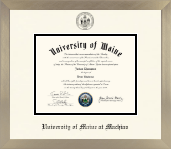 University of Maine Machias diploma frame - Icon in Light Champagne