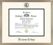 Ursinus College diploma frame - Icon in Light Champagne