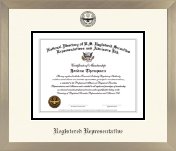 National Directory of U.S. Registered Securities Representatives & Advisors diploma frame - Icon in Light Champagne