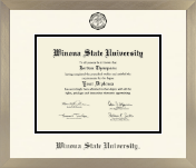 Winona State University diploma frame - Icon in Light Champagne